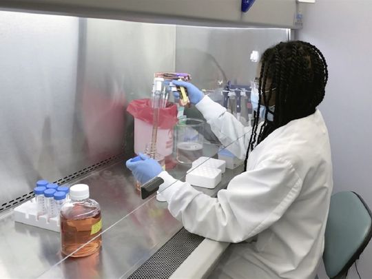 A Regeneron Pharmaceuticals scientist works in the company's Infectious disease lab in New York state on an experimental coronavirus antibody drug.