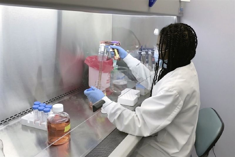 A Regeneron Pharmaceuticals scientist works in the company's Infectious disease lab in New York state on an experimental coronavirus antibody drug.