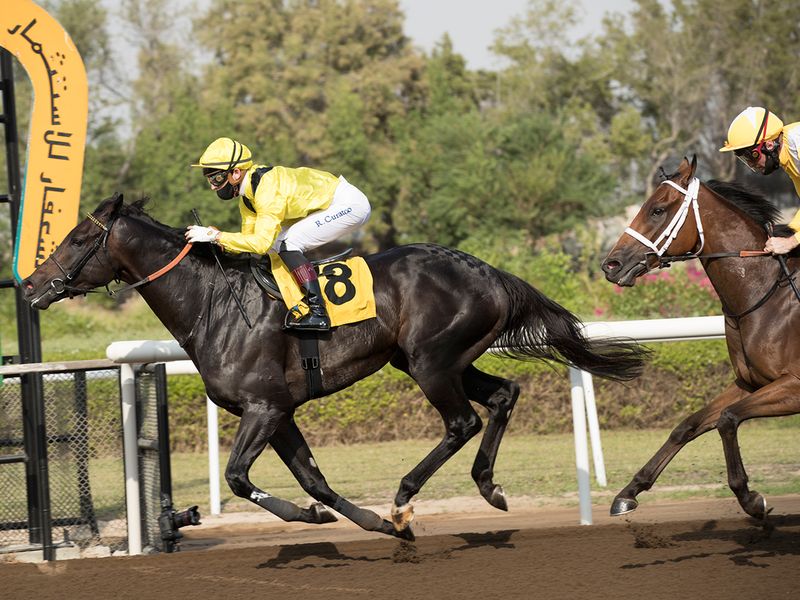 Shamikh brought up the first win of the new season for Jebel Ali Stables. the winner was ridden by Ryan Curatolo for trainer Nicholas Bachalard