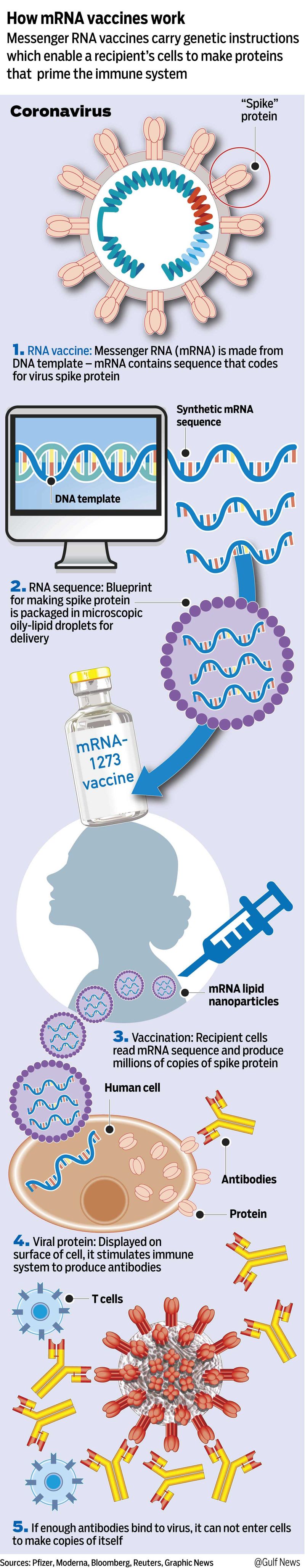 20201117 mRNA vaccien 