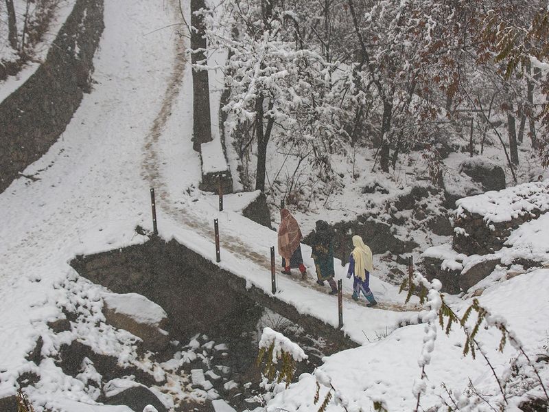 Kashmir snow gallery 