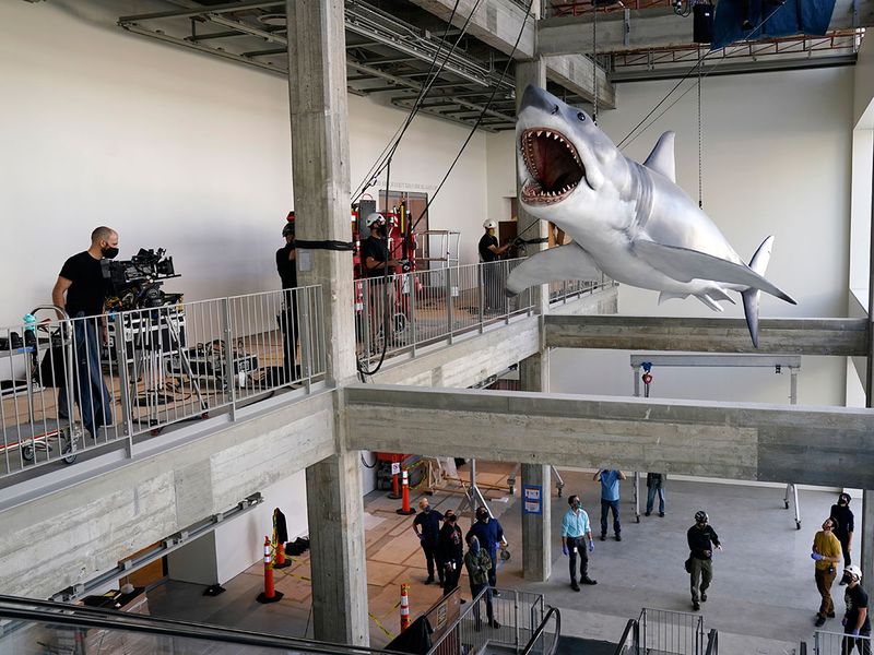 You're gonna need a bigger museum: 'Jaws' shark installed