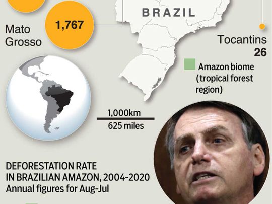 Deforestation In Brazils Amazon Rainforest Surges To 12 Year High Americas Gulf News 9520