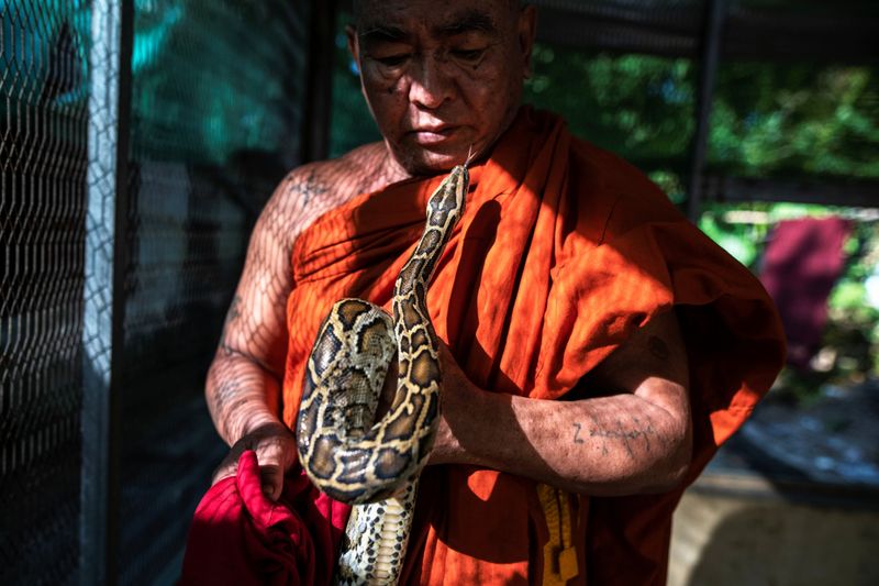 Copy of 2020-12-04T010649Z_696141066_RC21GK9OZOHP_RTRMADP_3_MYANMAR-MONK-SNAKES-1607065185784