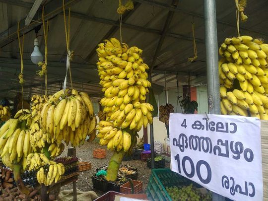 Banana Kerala Kottayam