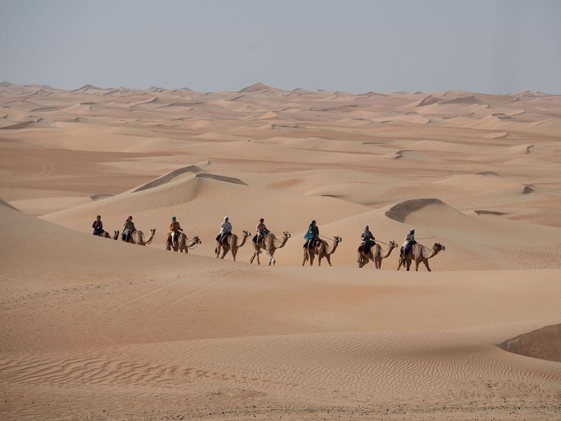 Camel track