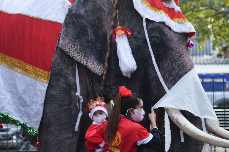 Copy of 2020-12-23T043854Z_1299269888_RC2SSK9ACDEC_RTRMADP_3_HEALTH-CORONAVIRUS-THAILAND-CHRISTMAS-ELEPHANTS-1608719182160