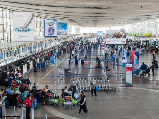 Sit, stay, detect COVID! Chile dogs report for duty at Santiago airport ...