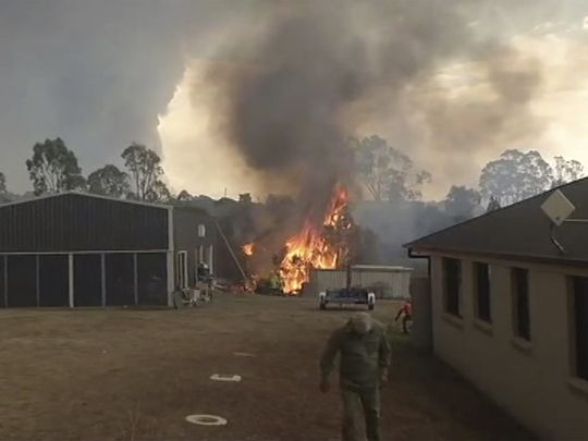 Copy of Australia_Wildfires_44337.jpg-73089-1577791191053