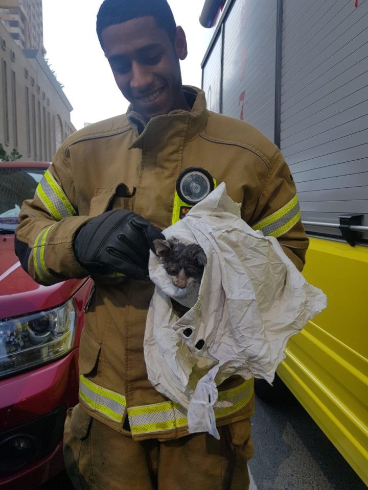 NAT 191231 Kitten Rescued-1577790774143