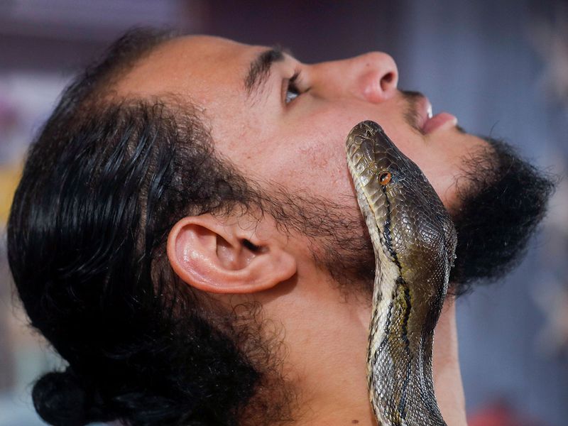 Egypt snake massage