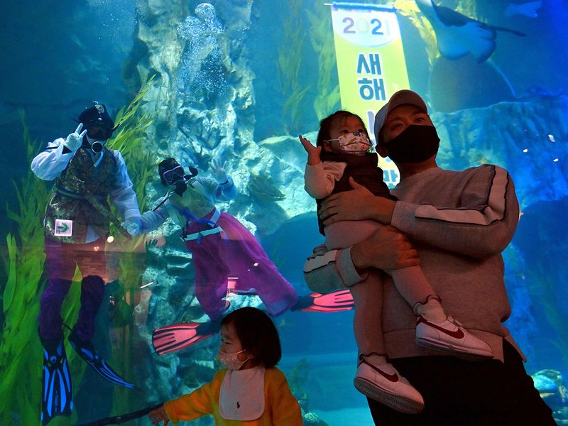 Divers in Hanbok gallery 