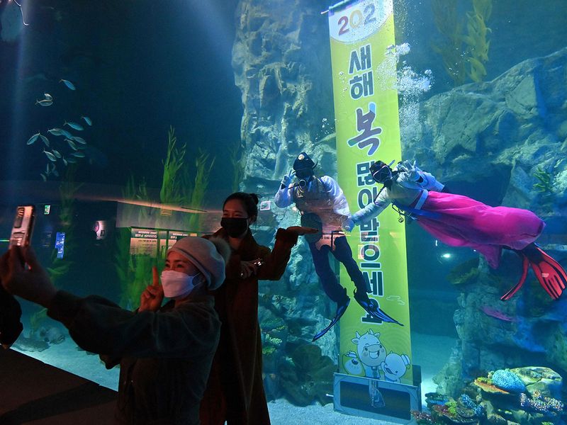 Divers in Hanbok gallery 