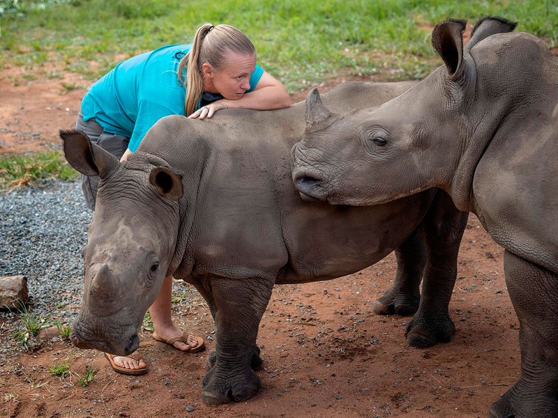 Rhino Orphanage gallery 