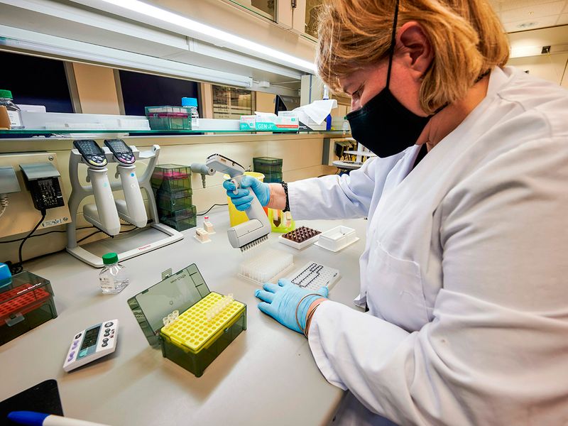 Scientists at deCODE genetics are seen working in the laboratory in Reykjavik, Iceland. 