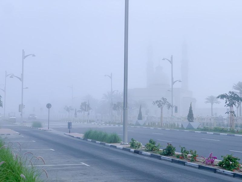 Fog UAE Dubai
