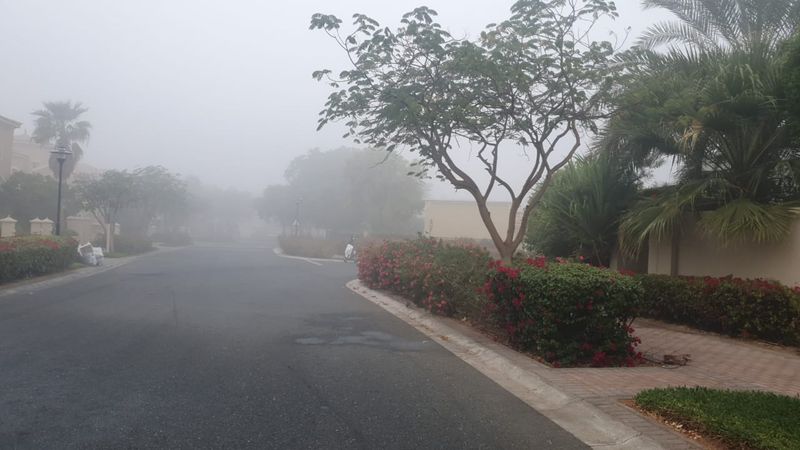 Monster fog in Dubai