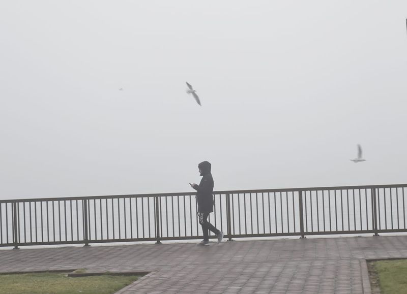 Monster fog in Sharjah