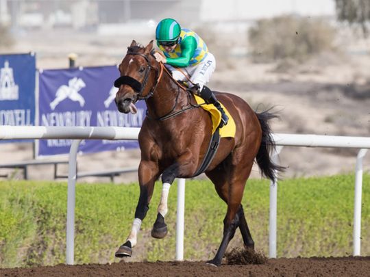 Horseracing - Secret Ambition wins Jebel Ali Mile