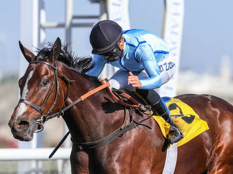 Xavier Ziani gives Blown By Wind a big-race vote in Jebel Ali | Horse