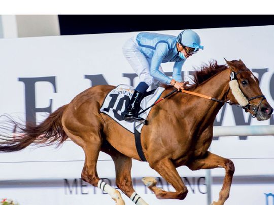 Book Review wins at Meydan