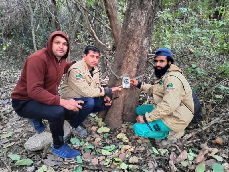 Leopard trail experts Pakistan