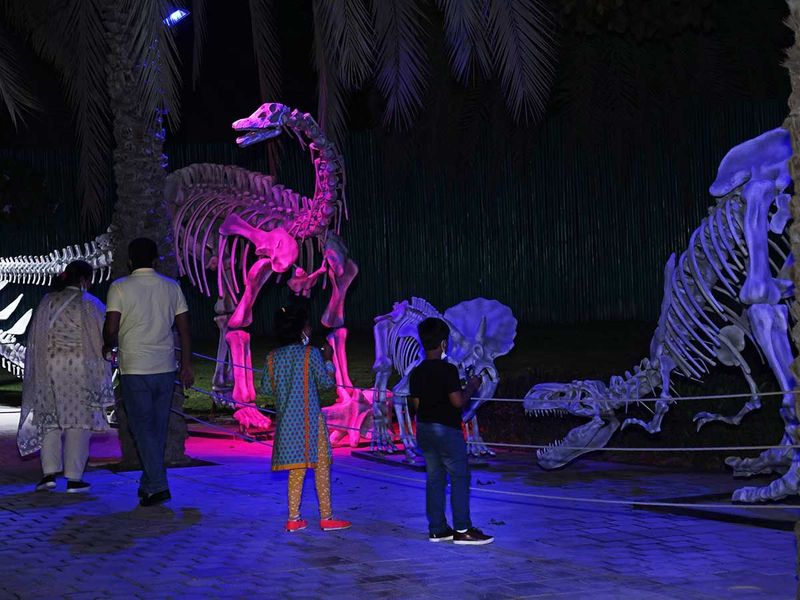 10 Fun, outdoor things to do in Dubai with kids this weekend