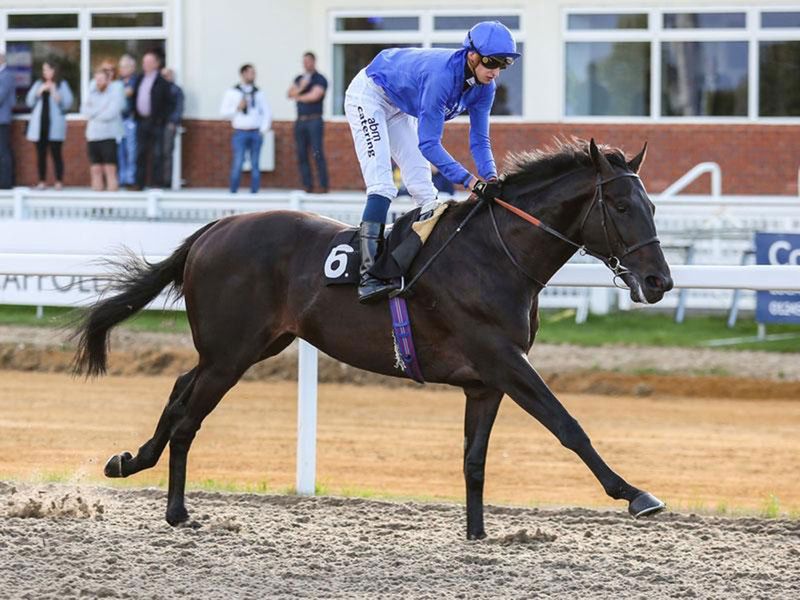 Volcanic Sky can give Godolphin handler Saeed Bin Surour a fourth win in the Nad Al Sheba Trophy on Thursday.