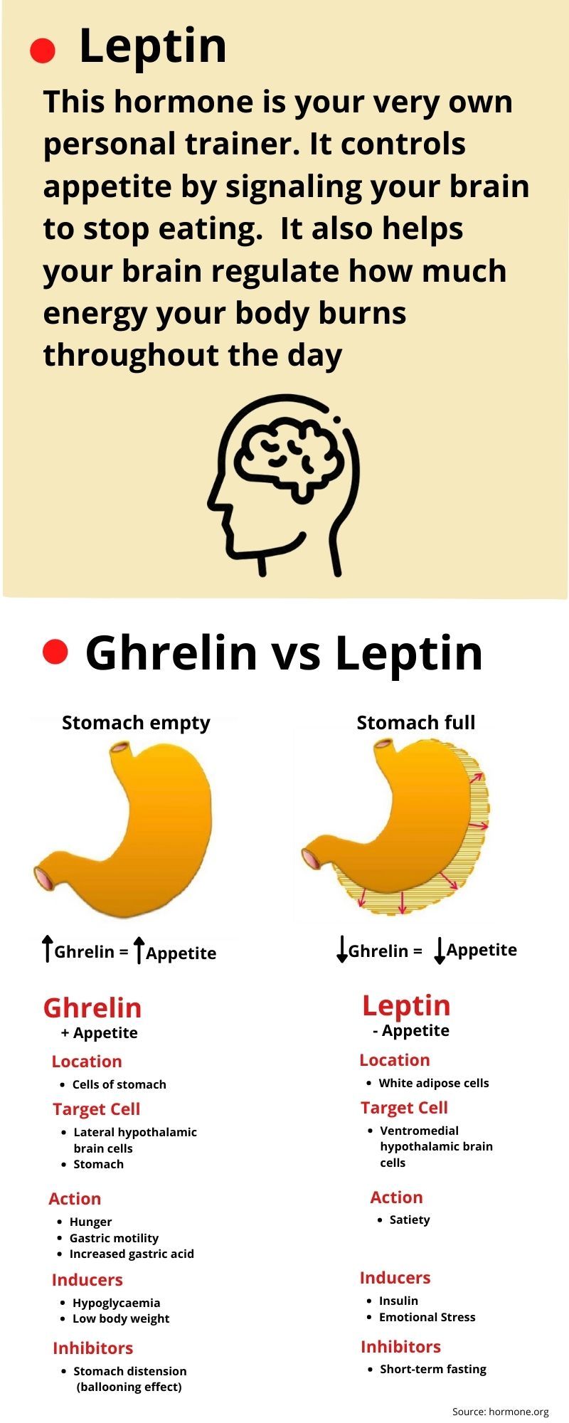 Leptin vs Ghrelin