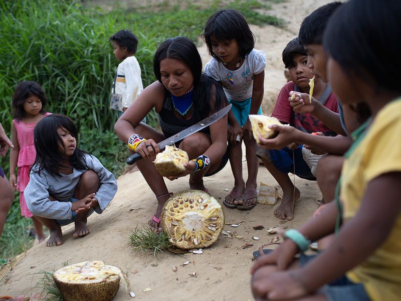 Guarani women cut jackfruit