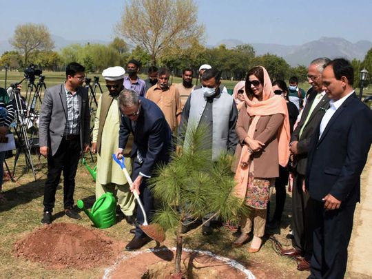 Australia's High Commissioner to Pakistan Dr Geoffrey Shaw Pakistan’s Climate Change Minister Zartaj Gul Miyawaki forest