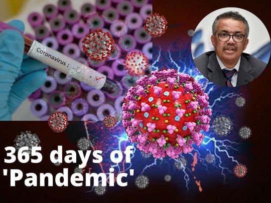 Pandemic 365 days