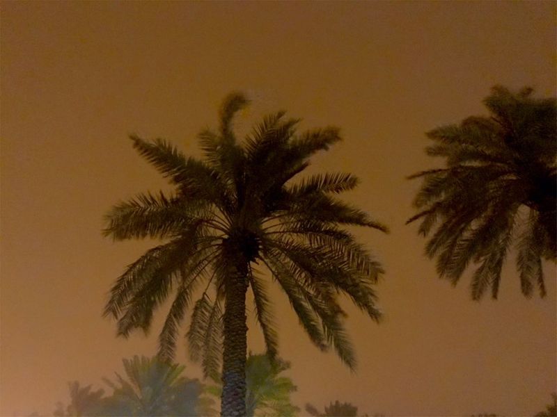 Sandstorm in Saudi Arabia 