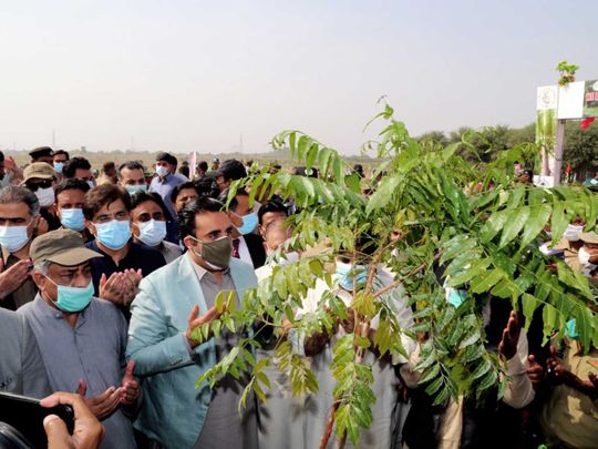 PPP Chairman Bilawal Bhutto Zardari tree planting karachi sindh