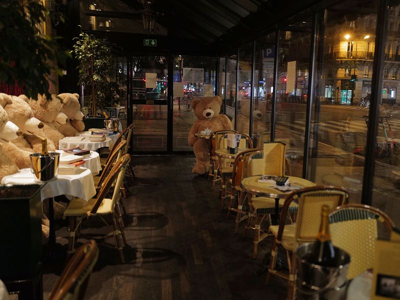 Teddy bears gallery 