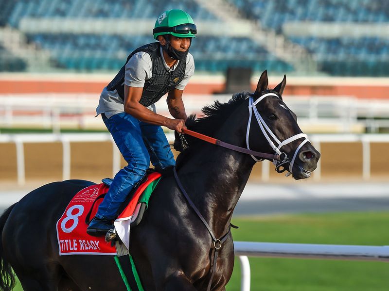 Title Ready has flown in from the United States for the Dubai World Cup 