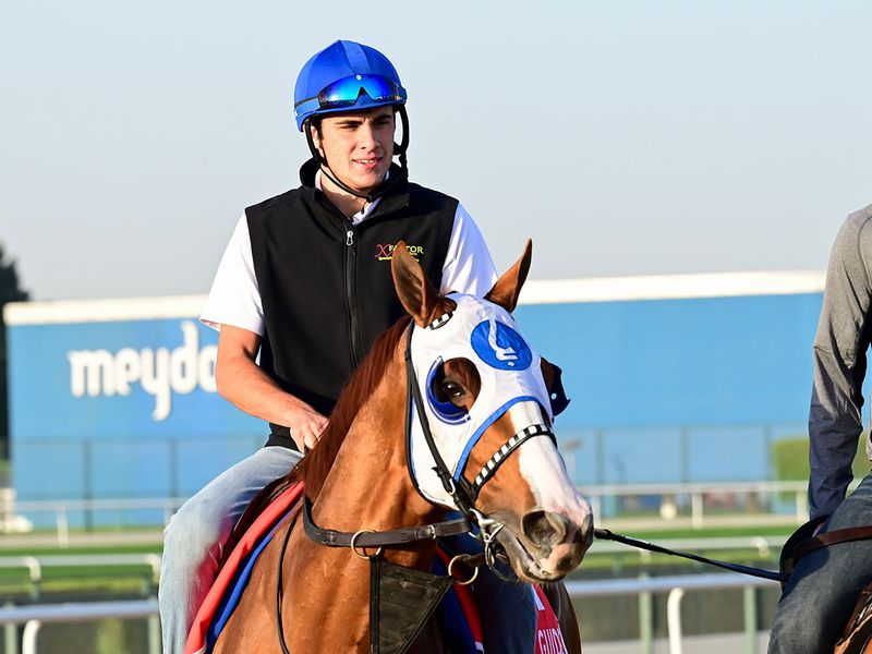 Mystic Guide was out early on Tuesday for a workout at Meydan ahead of Saturday's Dubai World Cup