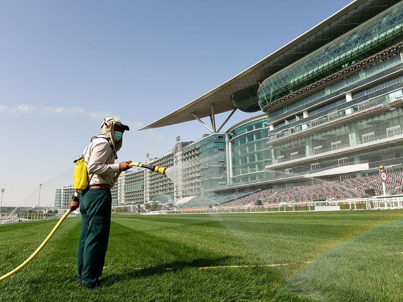 In Pictures Meydan Gets Final Touches Ahead Of Dubai World Cup 2021 Sports Photos Gulf News 9655