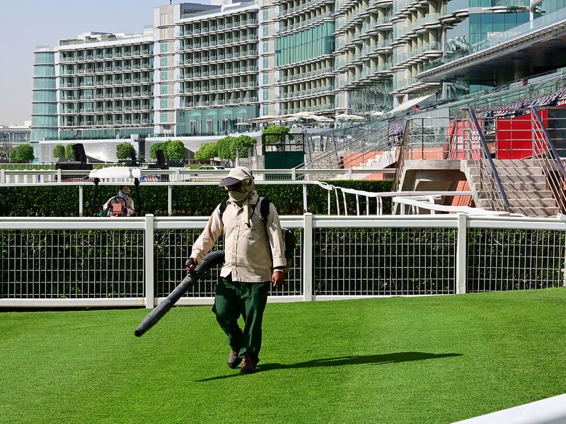 Meydan preparations for Dubai World Cup