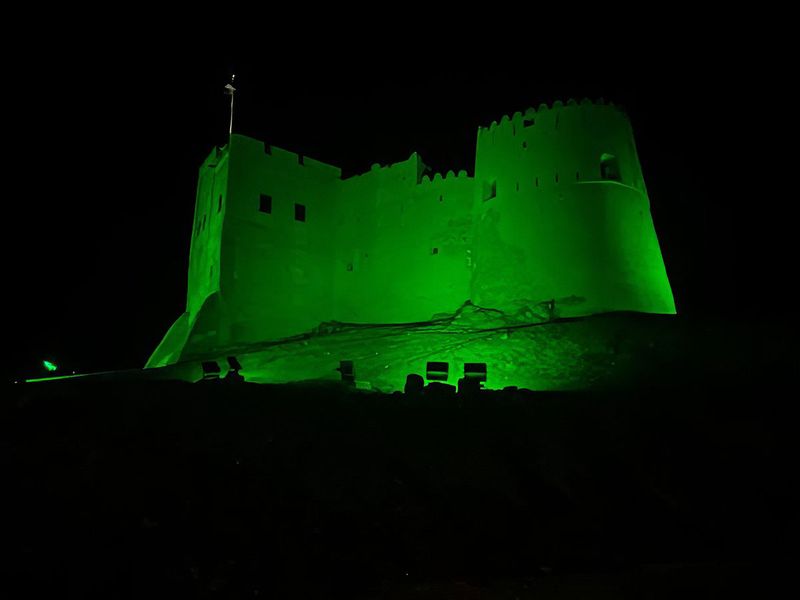 UAE landmarks turn green