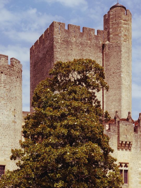castle of dreams Gironde
