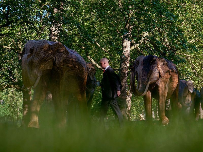 Britain_Elephants_Exhibition_22142