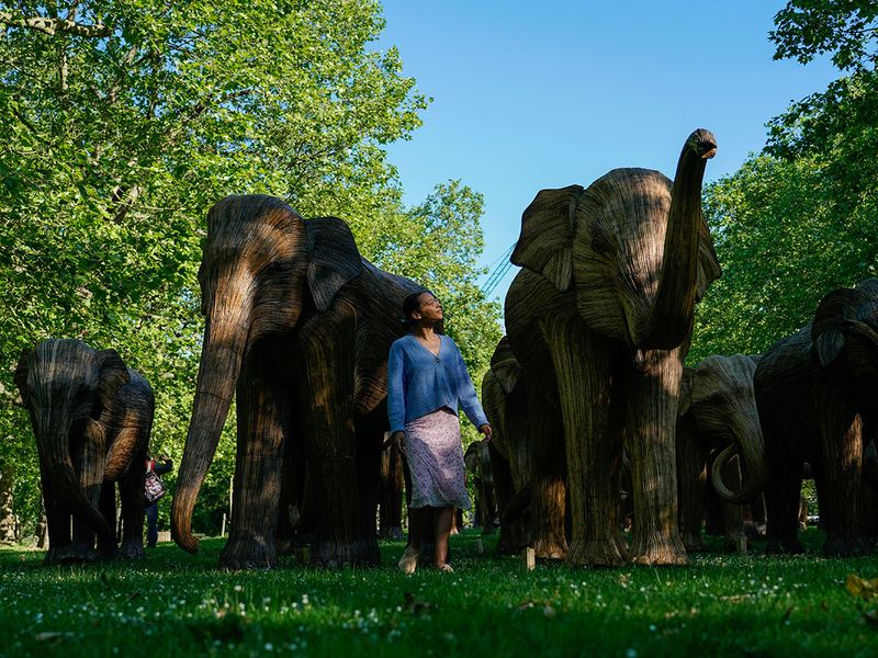 Britain_Elephants_Exhibition_24740.jpg-6ab45