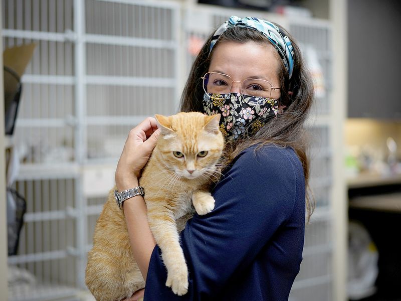  Wild Rose Cat clinic in Calgary