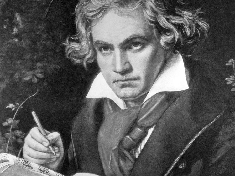 Was Beethoven Black? An Analytical Perspective [Myth or Reality]