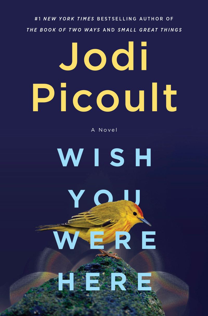 Wish You Were Here,” a novel by Jodi Picoult