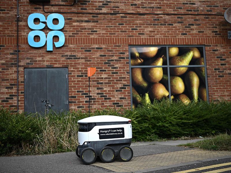 Grocery delivery robots gallery