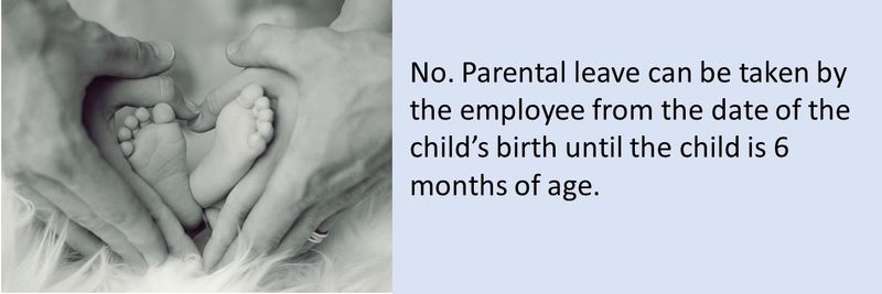 Does the parental leave need to be taken all at once?  
