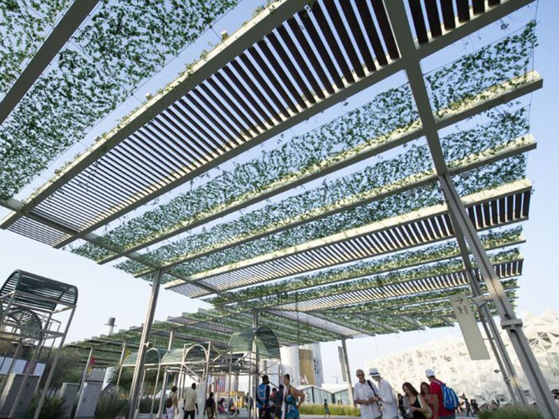 A mesh roof covered with leaves over the Hope avenue in the Sustainability district.