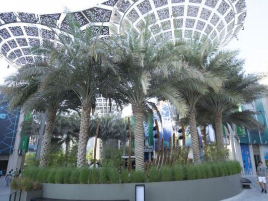 How Expo 2020 Dubai brought green gardens in the middle of a desert